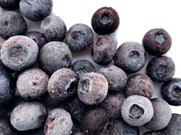 Blueberries IQF 1kg SpeedyBerry