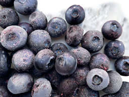 Blueberries IQF Natures Grocer 1kg