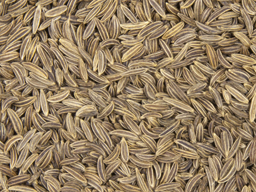 Caraway Seed Whole SS 25kg 