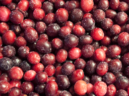 Cranberries IQF Canadian 18.14kg