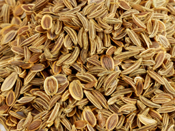 Dill Seed SS 25kg