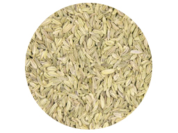 Fennel Whole SS 25kg 