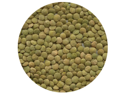 Lentils Green Whole 25kg