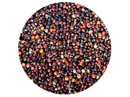 Quinoa Black 25kg