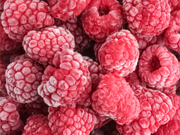 Raspberries IQF Natures Grocer 1kg