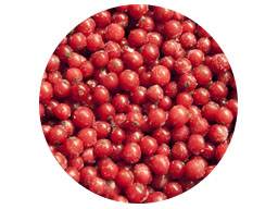 Red Currants IQF 10kg